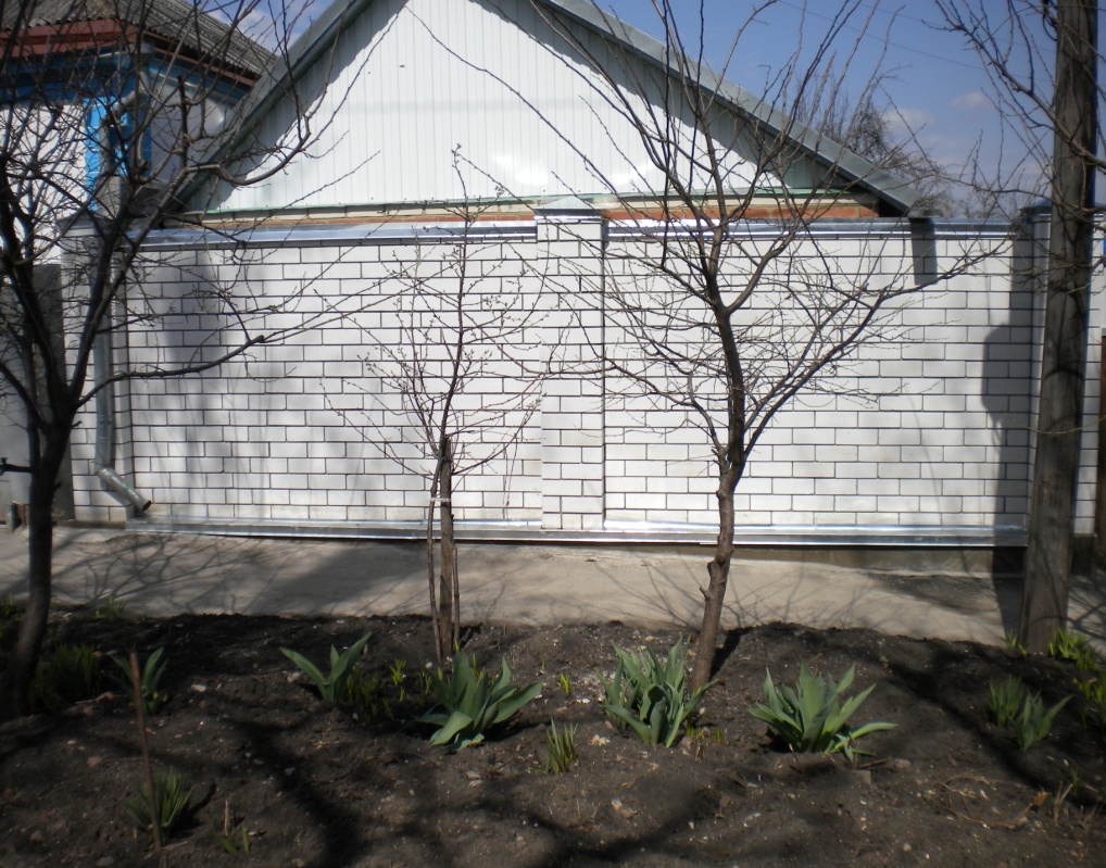 image009
