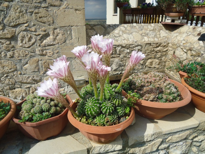 image007