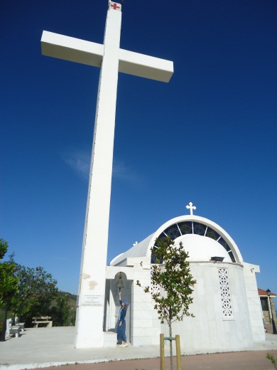 image010